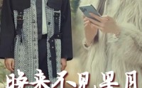 《晚来不见星月（40集）》精选短剧一次看过瘾