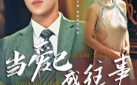 《当爱已成往事（28集）》独家短剧在线观看全集