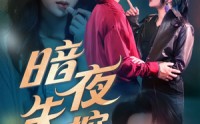 《暗夜失控（70集）》优质短剧全集免费放送