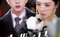 《上辈子是恋爱脑（63集）》高清短剧在线观看无广告