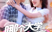 《哪个大学校花漂亮就去哪里摆摊（171集）》优质短剧在线追看
