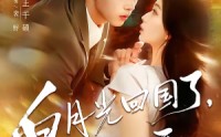 《白月光回国了，统统闪开（80集）》热门短剧全集畅享观看