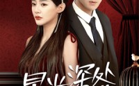《星光深处等你（70集）》爆款短剧在线一键观看