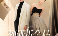 《烈酒折金枝（90集）》短剧高清无删在线享