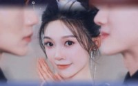 《今天也很可爱的猫（72集）》温馨短剧全集畅享