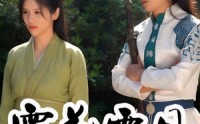 《霜花雪月（32集）》免费短剧资源一键直看