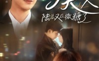 《报告夫人陆总又在撒糖了（69集）》热门短剧全集免费观赏