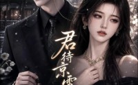 《君待京雪未央归（78集）》短剧全集免费在线热播