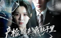 《产检醒来，我肚子里的孩子消失了（63集）》精彩短剧完整免费观