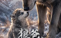 《狼爸别吃我（30集）》免费短剧资源在线播放