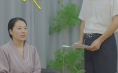 《相逢相遇我和你（15集）》免费短剧完整版一键观看