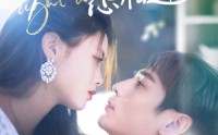 《无情何必怨相逢（66集）》短剧超长剧集在线追不停