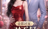 《帝都团宠：对不起我才是女主第一季（96集）》优质短剧在线完整看