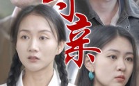 《寻亲（35集）》温馨短剧完整版免费看