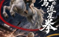 《别惹我的天马流星拳（40集）》高分短剧在线尽情观赏