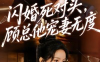 《闪婚死对头，顾总他宠妻无度（90集）》热门短剧完整版在线