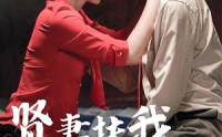 《贤妻扶我凌云志（71集）》必看短剧剧情解析