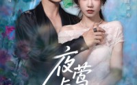《夜莺与玫瑰（66集）》免费短剧在线完整看