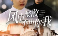 《风中聚散不由你我（41集）》全集短剧无广告在线播