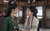 《乱世簪花行（80集）》热门短剧无广告在线观