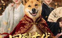《回到古代当狗王（60集）》热门短剧在线畅享全集