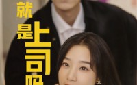 《不就是上司吗（80集）》热门短剧全集直通