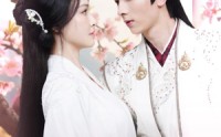 《扬花烬梦（68集）》短剧全集无广告在线追