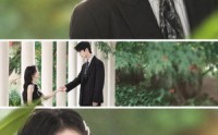 《雾灯不候旧年归人（50集）》短剧完整版免费在线赏