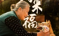 《小狗来福（30集）》精彩短剧剧情抢先观看
