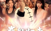 《拳皇归来（53集）》怀旧短剧全集在线重温