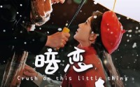 《暗恋这件小事（100集）》温馨短剧全集回顾