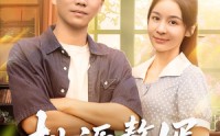 《桃源赘婿（80集）》高清短剧在线无广告播放