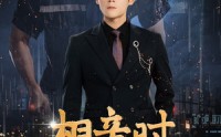 《相亲时我决定继承家业（99集）》豪门短剧在线观看