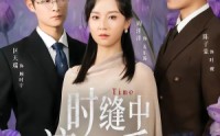 《时缝中流走的爱意（71集）》热门短剧全集免费赏