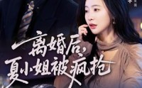 《离婚后，夏小姐被疯抢（98集）》热门短剧全集免费畅享