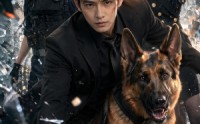 《警犬当的好好的，怎么重生了（61集）》热门短剧在线播放无广告