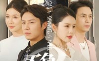 《不负故乡月（70集）》短剧资源高清在线看