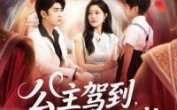 《公主驾到全员泪崩（81集）》短剧全集免费观影