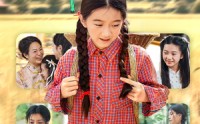 《锦鲤少女（72集）》精彩短剧全剧免费观看