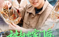 《被赶出家门后，我系统激活了（81集）》免费短剧全集在线速看