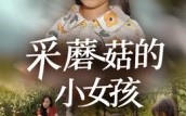 《采蘑菇的小女孩（37集）》短剧完整版免费在线赏