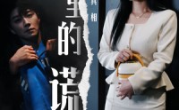 《爱里的谎言，仇恨的真相（47集）》热门短剧高清在线播放