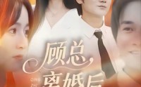 《顾总，离婚后情至陌路（62集）》热门短剧免费全集畅享