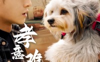 《孝意难偿（32集）》感人短剧全集在线看