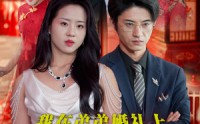 《我在弟弟婚礼上大杀四方（45集）》超燃短剧全集免费观看