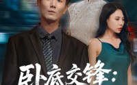 《卧底交锋：大嫂的棋局（80集）》精彩短剧在线畅享观看