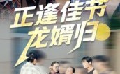 《正逢佳节龙婿归（42集）》短剧在线高清完整播放