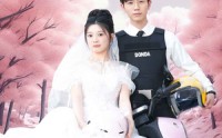 《新版：披荆斩棘的婚姻》（90集）全季短剧，一次看过瘾