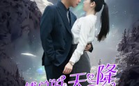 《傅总的天降太子妃》（86集）爆款短剧不容错过看