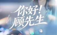 《你好！顾先生（60集）》热门短剧在线免费看全